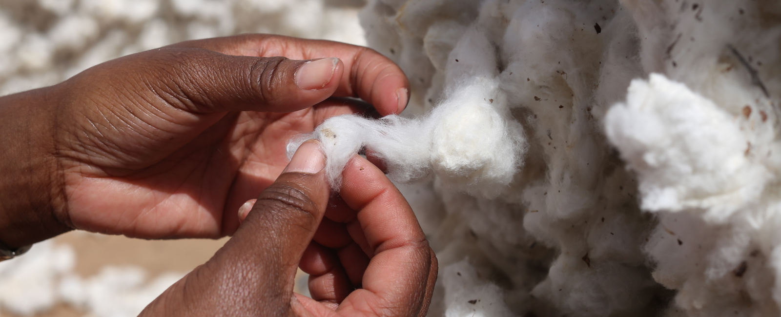 cotton burkina faso
