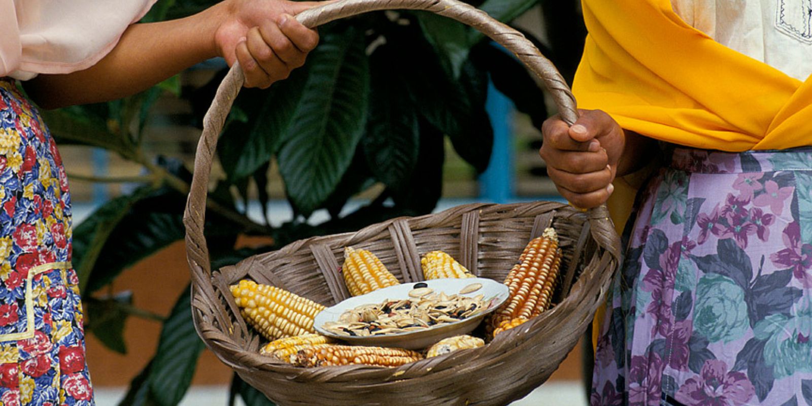 Women holding basket of corn. Mexico. 