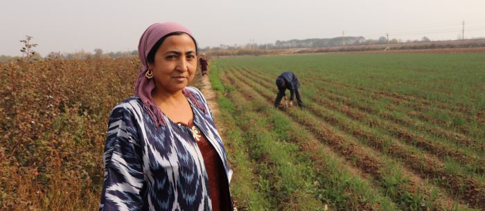 Farmer in Tajikistan