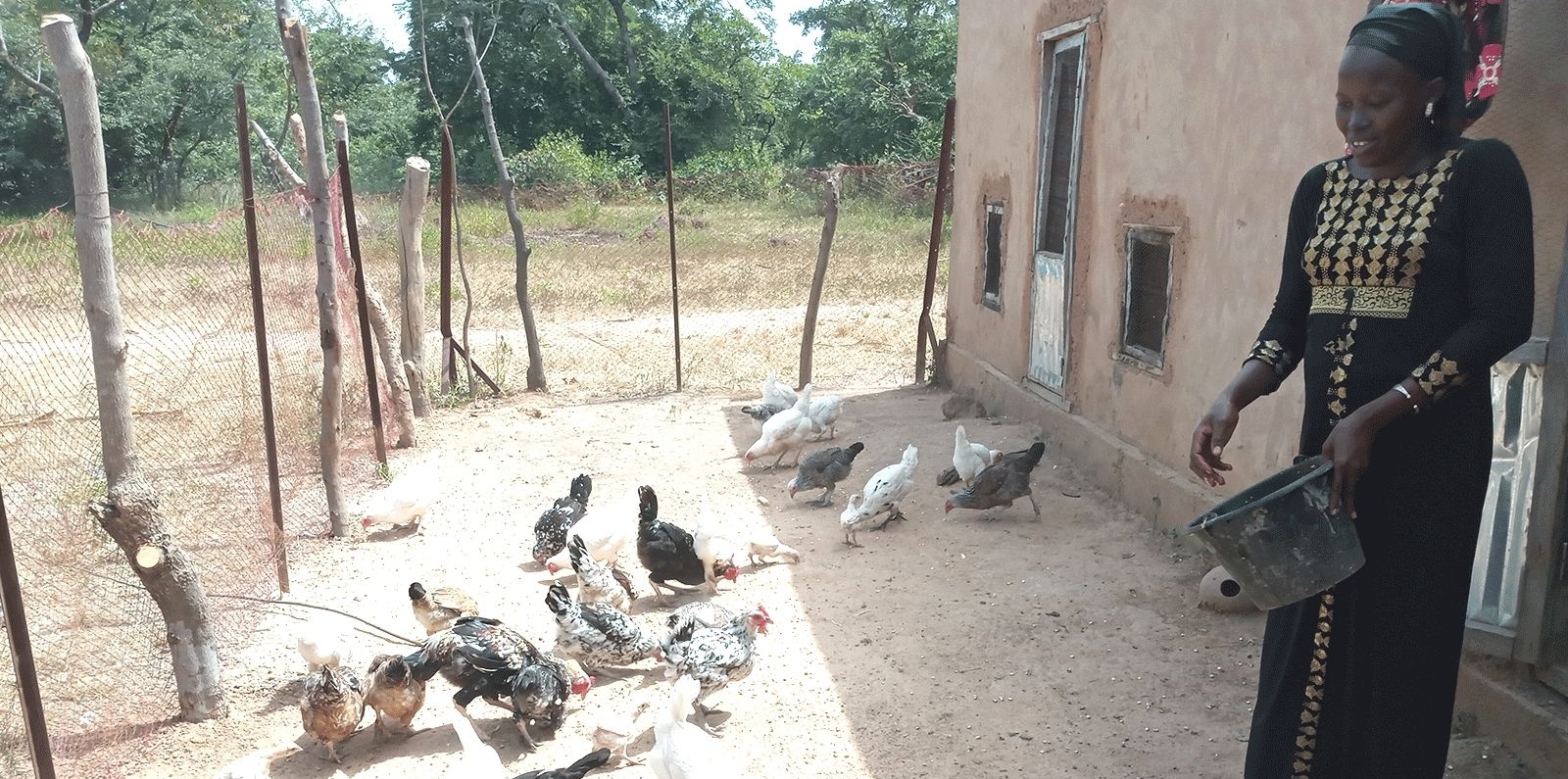 Poultry Farmer in Mali