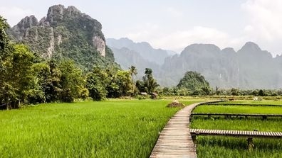 Lao Rice Field