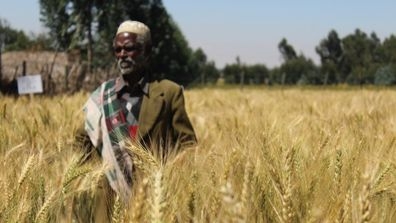 Farmer in Ethiopia 